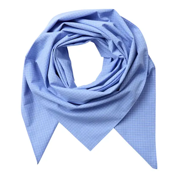 Hovedbilde Cocouture Elona Scarf Pale Blue